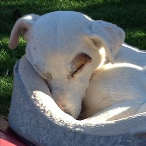 Meet your Posher, Deb